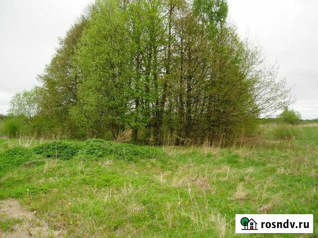 Участок ИЖС 40 сот. на продажу в Пушкинских Горах Пушкинские Горы - изображение 1