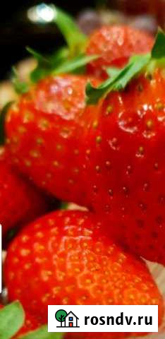 Участок ИЖС 6 сот. на продажу в Дивноморском Дивноморское - изображение 1