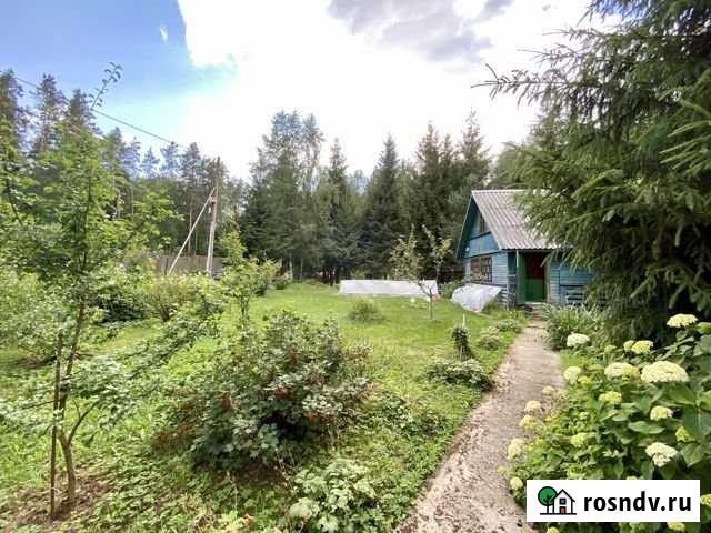 Дача 100 м² на участке 15 сот. на продажу в Зеленогорске Ленинградской области Зеленогорск - изображение 1