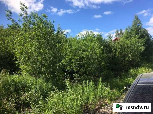 Участок СНТ, ДНП 12 сот. на продажу в Петрозаводске Петрозаводск - изображение 1