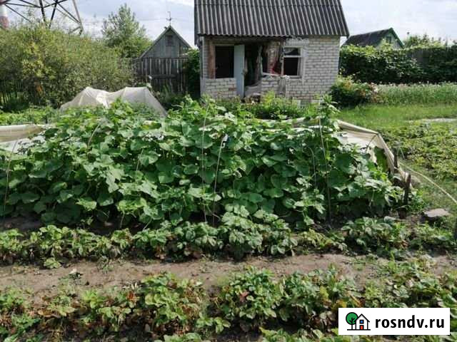 Дача 25 м² на участке 4 сот. на продажу в Новомичуринске Новомичуринск - изображение 1