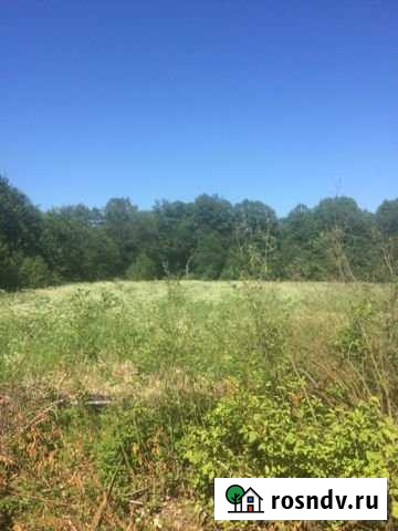 Участок ИЖС 12 сот. на продажу в Высоцке Высоцк - изображение 1