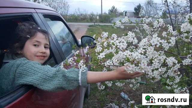 Участок СНТ, ДНП 6 сот. на продажу в Самаре Самара - изображение 1