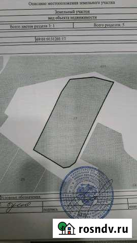 Участок ИЖС 42 сот. на продажу в Андреаполе Андреаполь - изображение 1