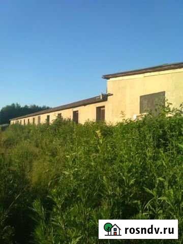 Продам птичник с комплексом строений Жиздра - изображение 1