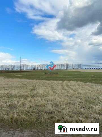 Участок ИЖС 25 сот. на продажу в Добруне Добрунь - изображение 1