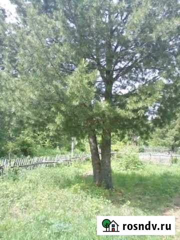 Дача 50 м² на участке 6 сот. на продажу в Памяти 13 Борцове Памяти 13 Борцов - изображение 1