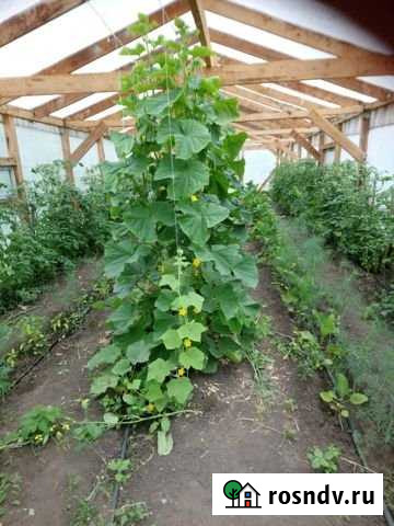 Дом 120 м² на участке 40 сот. на продажу в Алейске Алейск - изображение 1