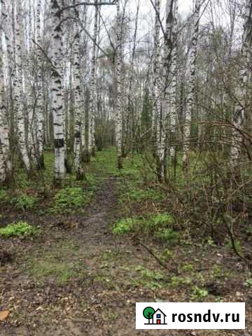 Участок ИЖС 15 сот. на продажу в Чистогорском Чистогорский - изображение 1