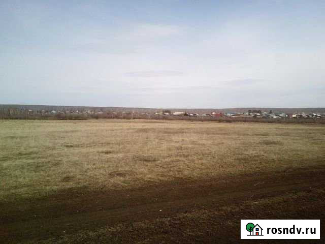 Участок СНТ, ДНП 1320 сот. на продажу в Аргаяше Аргаяш - изображение 1