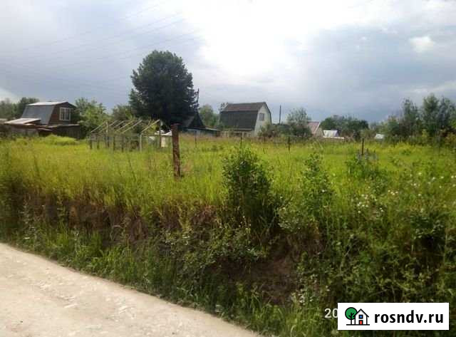 Участок СНТ, ДНП 6 сот. на продажу в Новосибирске Новосибирск - изображение 1