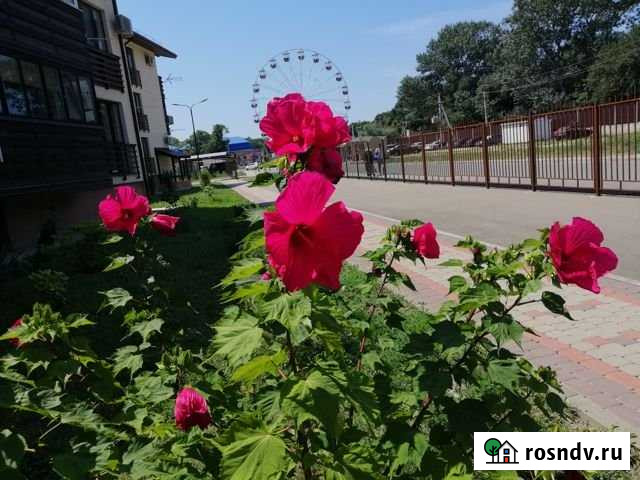 Квартира-студия, 37 м², 1/3 эт. в аренду посуточно в Супсехе Супсех - изображение 1