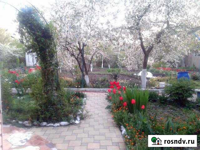 Дом 80 м² на участке 10 сот. на продажу в Великовечном Великовечное - изображение 1