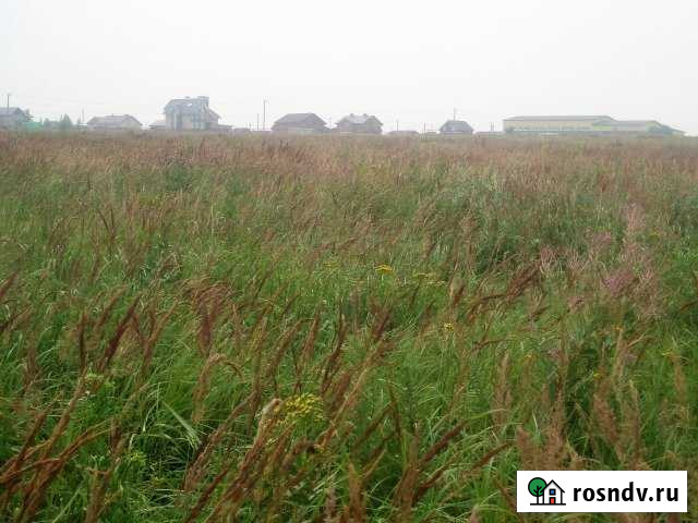 Участок СНТ, ДНП 15 сот. на продажу в Буревестнике Буревестник - изображение 1