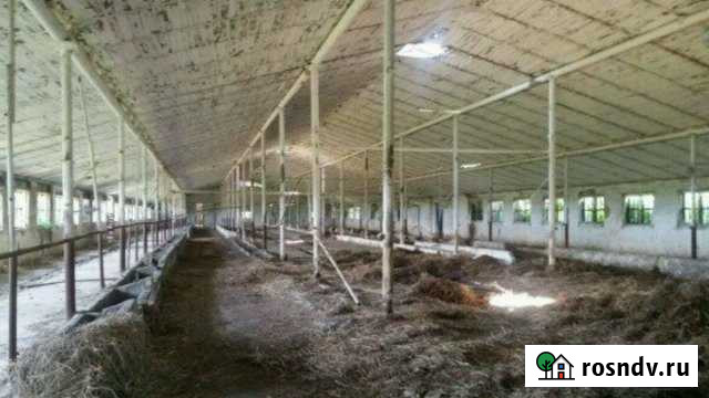 Ферма Приморка - изображение 1