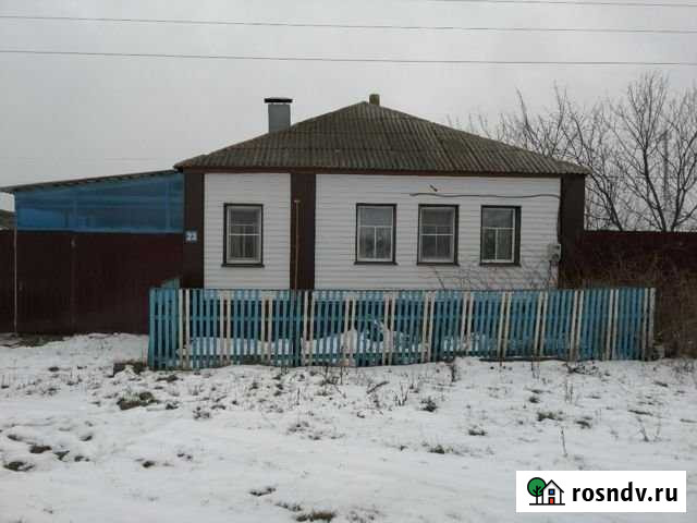 Дом 70 м² на участке 40 сот. на продажу в Репьевке Репьевка - изображение 1