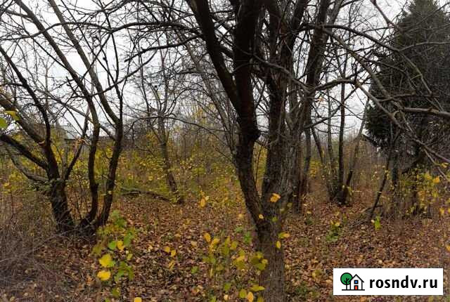 Участок ИЖС 5 сот. на продажу в Новосиньково Новосиньково - изображение 1