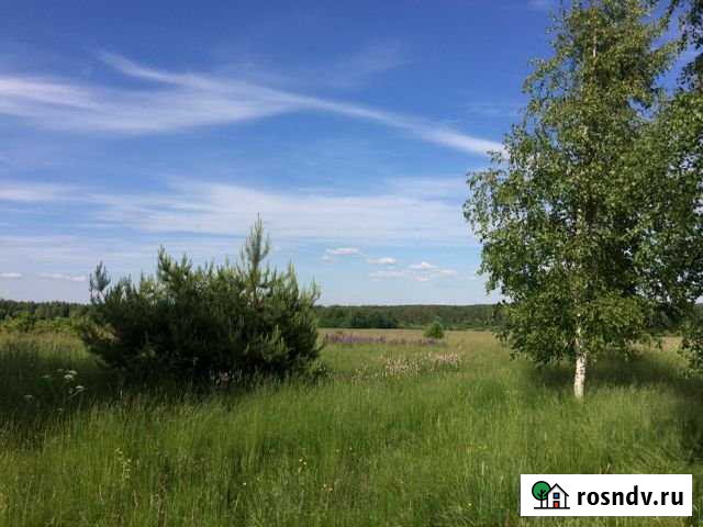 Участок ИЖС 40 сот. на продажу в Золотково Золотково - изображение 1