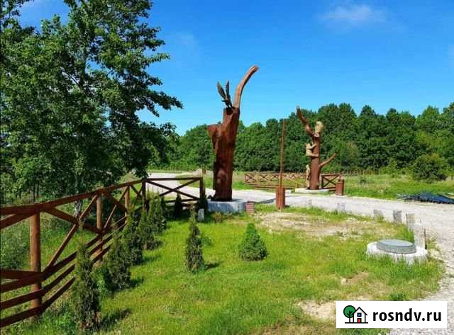 Участок СНТ, ДНП 14 сот. на продажу в Светлогорске Светлогорск - изображение 1