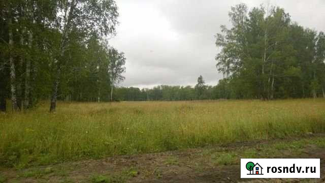 Участок СНТ, ДНП 81 сот. на продажу в Сокуре Сокур - изображение 1