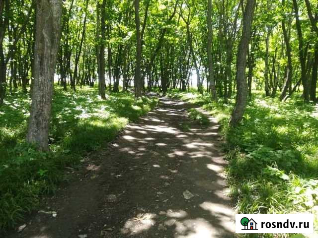 Участок СНТ, ДНП 15 сот. на продажу в Большом Камень Большой Камень - изображение 1