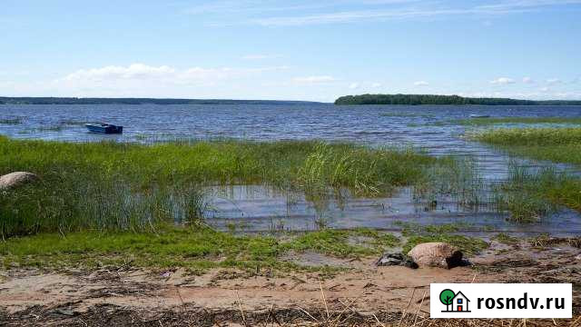 Участок СНТ, ДНП 3 сот. на продажу в Глебычево Глебычево - изображение 1