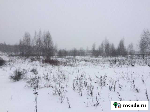 Участок СНТ, ДНП 100 сот. на продажу в Петровском Ярославской области Петровское - изображение 1