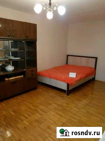 1-комнатная квартира, 48 м², 3/17 эт. в аренду посуточно в Видном Видное - изображение 1