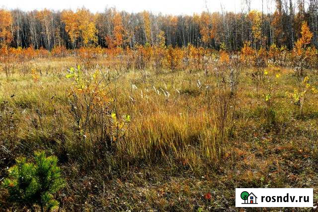 Участок СНТ, ДНП 900 сот. на продажу в Лесном Рязанской области Лесной - изображение 1