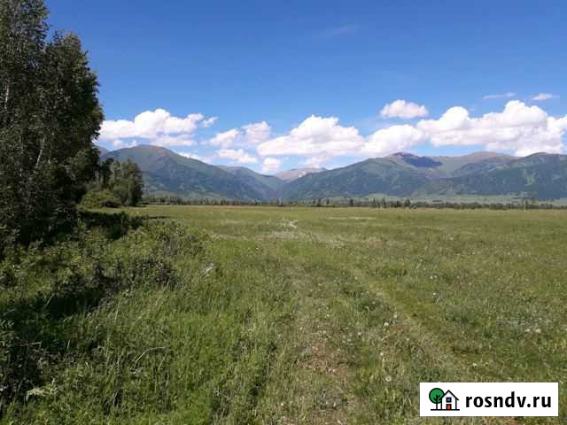 Участок СНТ, ДНП 1100 сот. на продажу в Усть-Коксе Усть-Кокса - изображение 1