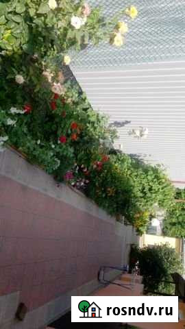 Дом 50 м² на участке 3 сот. в аренду посуточно в Ейске Ейск - изображение 1