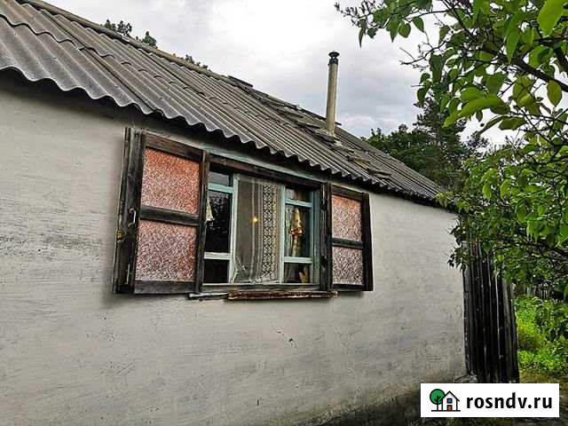 Дача 32.4 м² на участке 5.9 сот. на продажу в Пензе Пенза - изображение 1