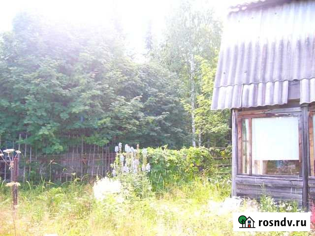 Дача 40 м² на участке 8.3 сот. на продажу в Дружинино Дружинино - изображение 1