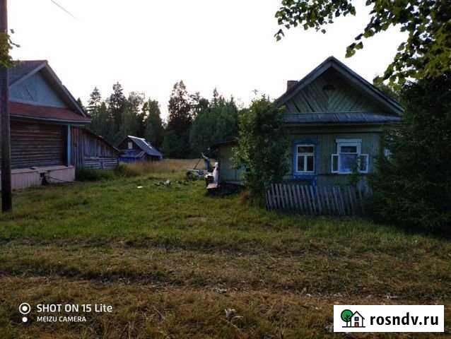 Дом 24 м² на участке 17 сот. на продажу в Пестяках Пестяки - изображение 1