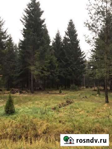 Участок СНТ, ДНП 12 сот. на продажу в Вербилках Вербилки - изображение 1