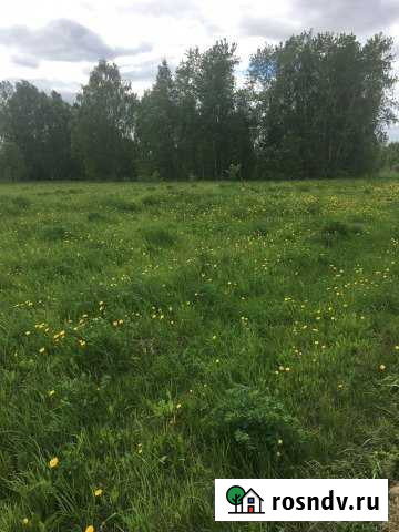 Участок ИЖС 10 сот. на продажу в Оршанке Оршанка - изображение 1