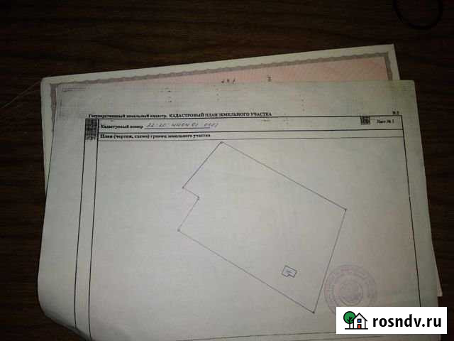 Участок СНТ, ДНП 100 сот. на продажу в Почепе Почеп - изображение 1