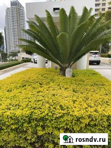 Участок ИЖС 130 сот. на продажу в Волгограде Волгоград - изображение 1