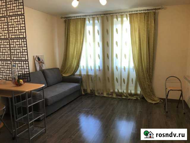 Квартира-студия, 30 м², 11/16 эт. в аренду на длительный срок в Санкт-Петербурге Санкт-Петербург - изображение 1