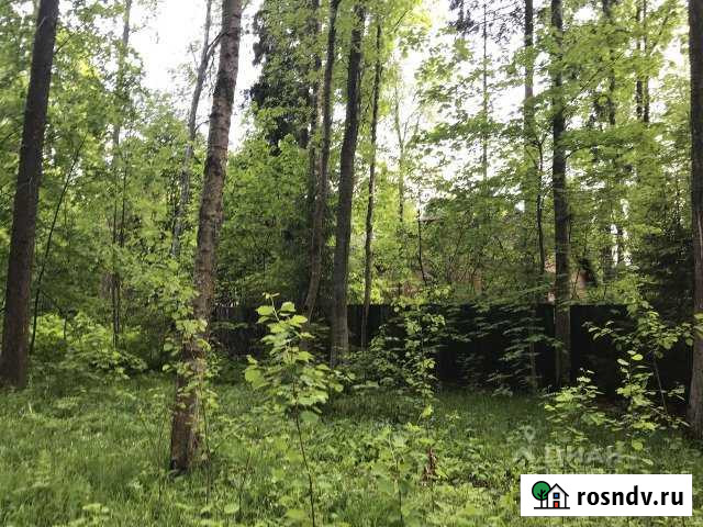 Участок СНТ, ДНП 35 сот. на продажу в Софрино Софрино - изображение 1