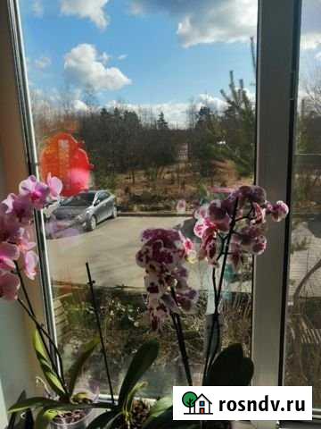 2-комнатная квартира, 58 м², 1/9 эт. на продажу в Отрадном Ленинградской области Отрадное - изображение 1