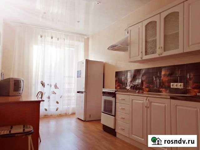 1-комнатная квартира, 41 м², 16/22 эт. в аренду на длительный срок в Кудрово Кудрово - изображение 1