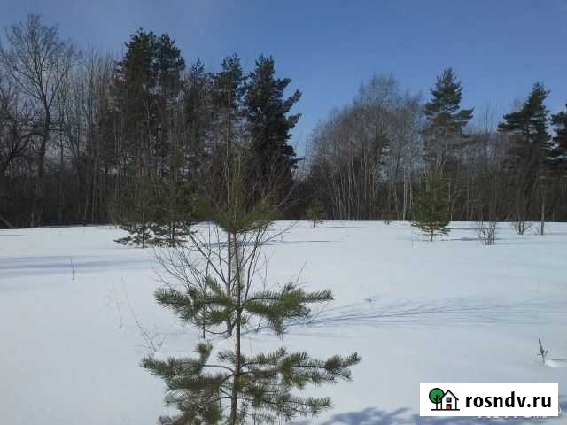 Участок СНТ, ДНП 630 сот. на продажу в Сольцах Сольцы - изображение 1