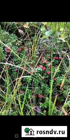 Участок ИЖС 18 сот. на продажу в Переславле-Залесском Переславль-Залесский - изображение 1