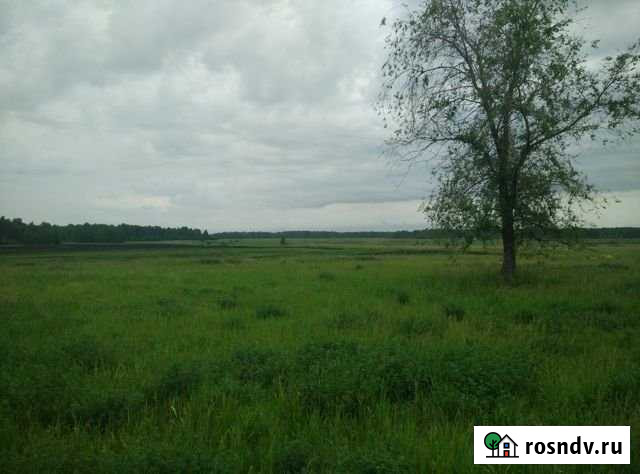 Участок ИЖС 15 сот. на продажу в Миасском Миасское - изображение 1