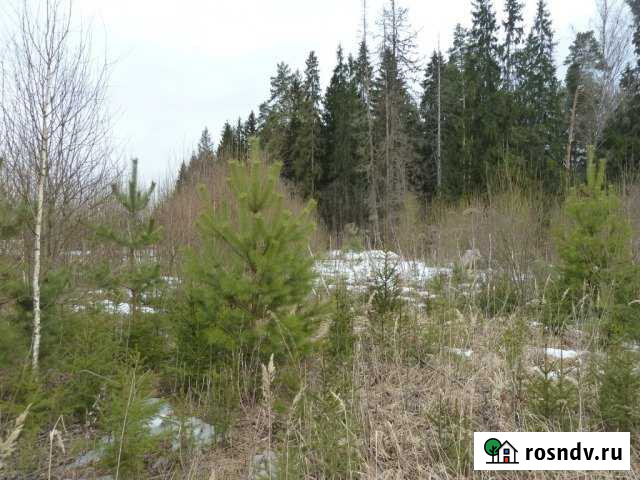 Участок ИЖС 15 сот. на продажу в Дорохово Дорохово - изображение 1