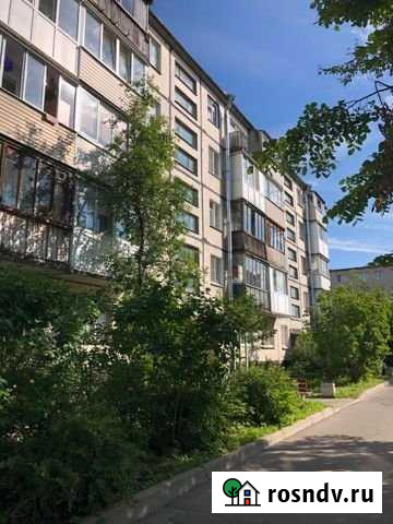 2-комнатная квартира, 44 м², 3/5 эт. на продажу в Красном Селе Красное Село - изображение 1