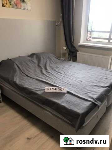 Квартира-студия, 23 м², 6/12 эт. в аренду посуточно в Санкт-Петербурге Санкт-Петербург - изображение 1