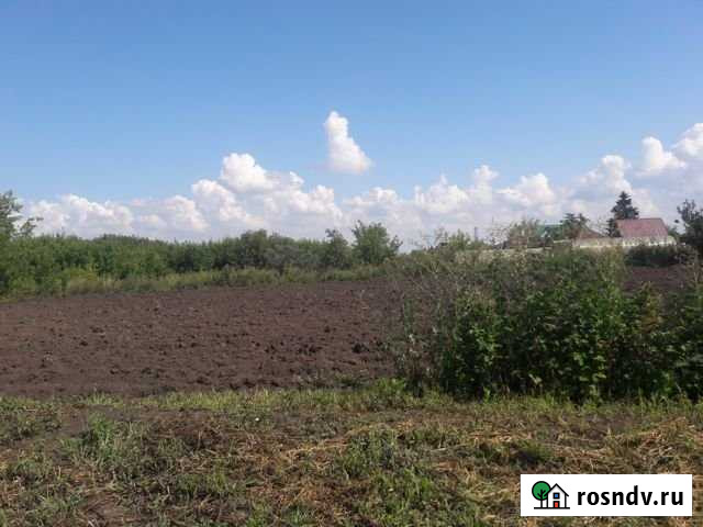 Участок ИЖС 10 сот. на продажу в Лебяжьем Алтайского края Лебяжье - изображение 1