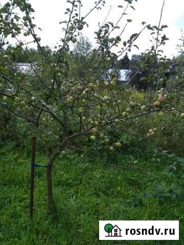 Дача 20 м² на участке 6 сот. на продажу в Перми Пермь - изображение 1